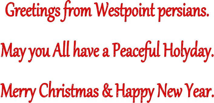 Greetings from Westpoint persians.
May you All have a Peaceful Holyday.
Merry Christmas & Happy New Year.